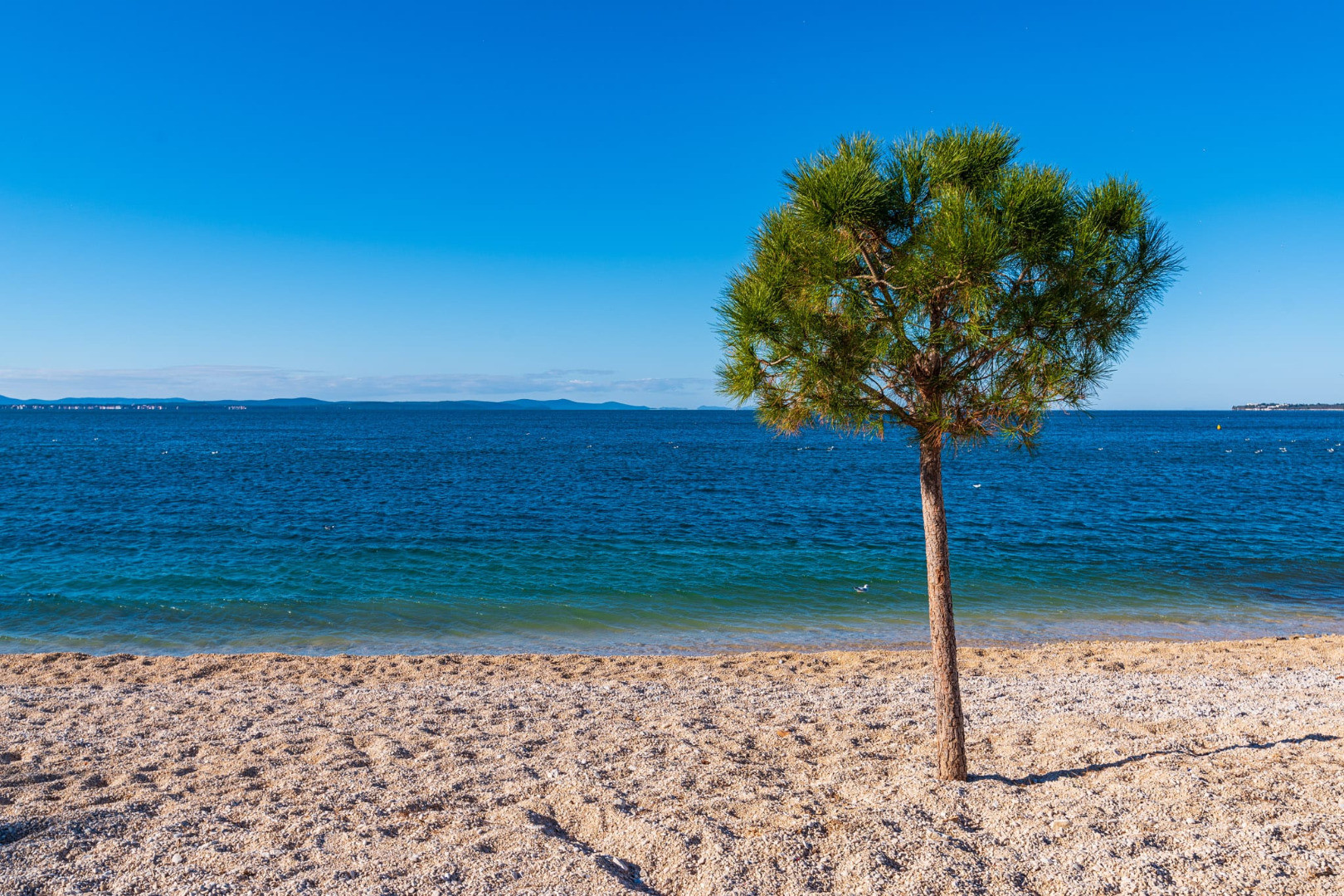 Enjoyment with a view - A vacation for family and friends by the sea, Obiteljski apartmani Zadar - Family apartments with a sea view, Croatia Zadar